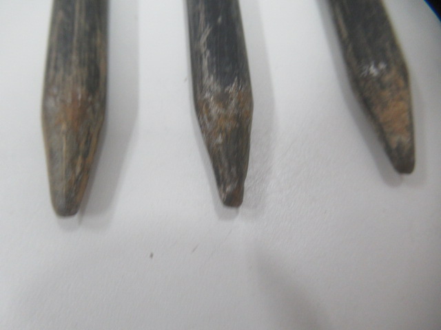 Snow Peak（スノーピーク）  ソリッドステーク20/30 テンマク ペグロールケースセット