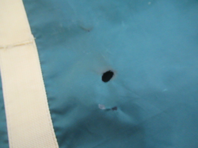 Coleman(コールマン) BCキャノピードーム/270プラス