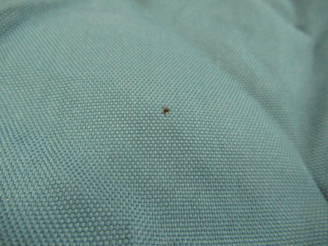 Coleman（コールマン）  スリムキャプテンチェアアルファ グリーン2脚セット