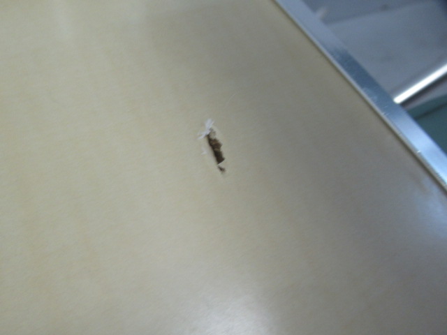 Coleman（コールマン）  アルミキャプテンチェアーテーブル付(1)