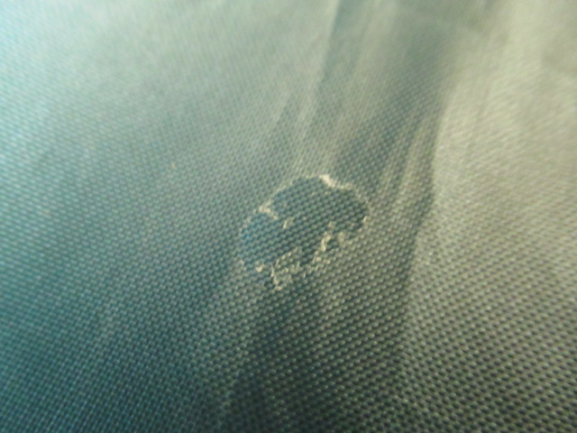 Coleman（コールマン）  BCワイドドーム/325 170T16350J