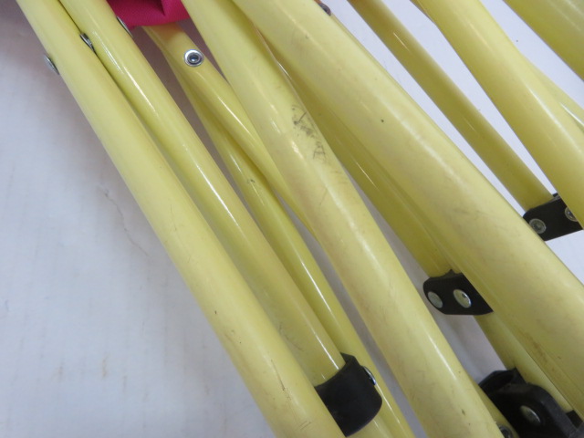 Coleman（コールマン）  ファンチェアダブル フォリッジピンク (2)