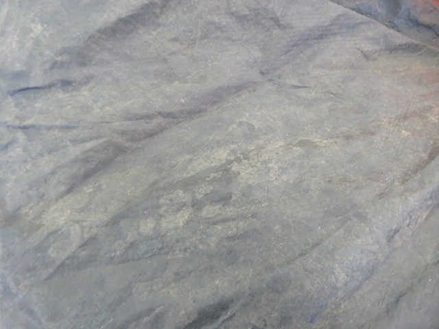 DOD(ディーオーディー) ワンタッチテント T2-29