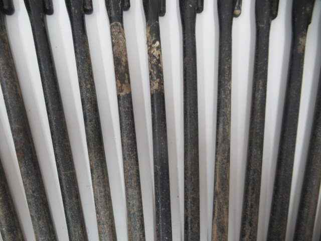 Coleman（コールマン）  スチールソリッドペグ 30cm セット