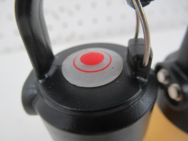 Ledlenser（レッドレンザー）  ML4カスタム品 2個セット