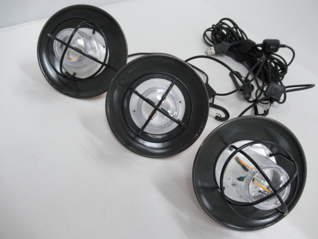 Barebones Living（ベアボーンズリビング）  エジソンストリングライト LED