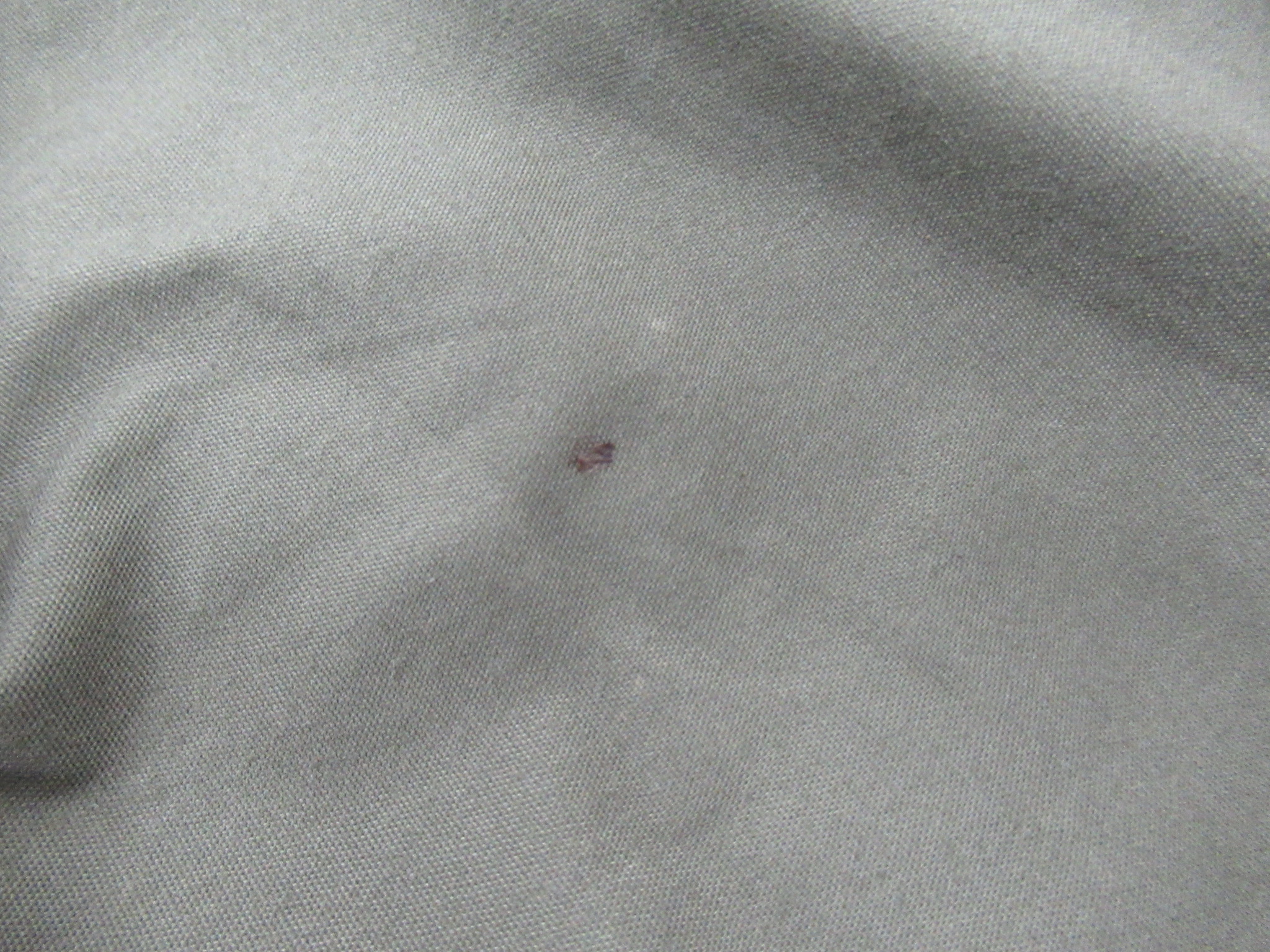 その他ブランド  TOMOUNT G MOON TC拡張テント・ドアセット