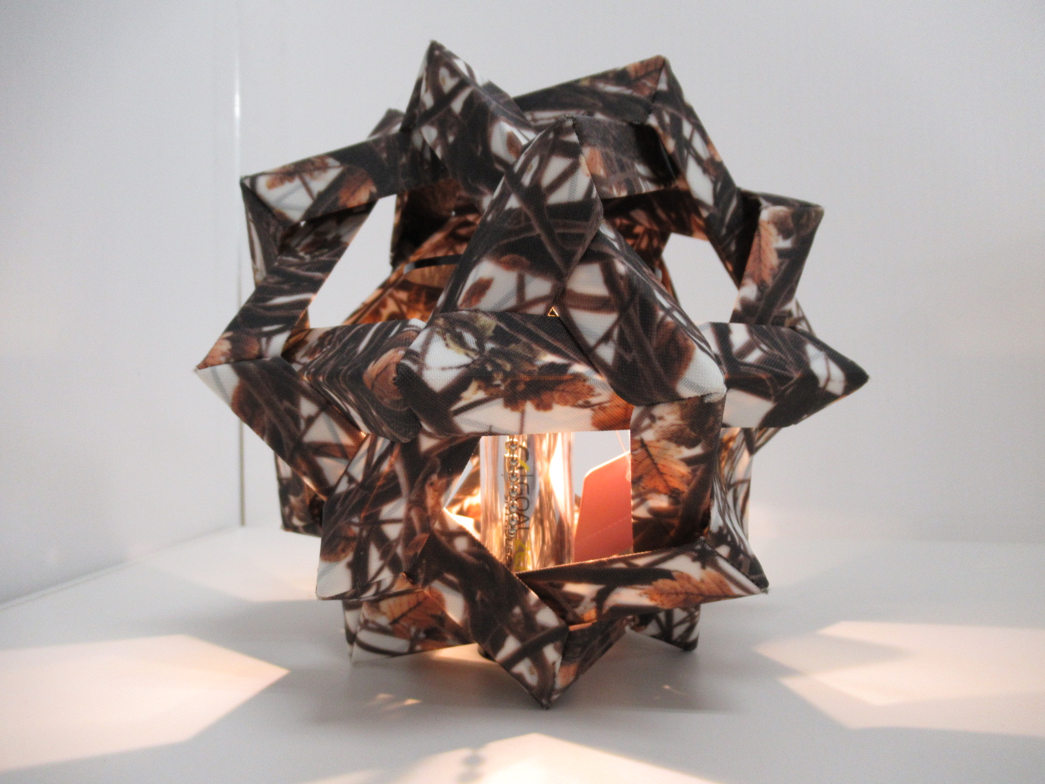 その他ブランド  COLONISTA OMAN10 リアルツリー