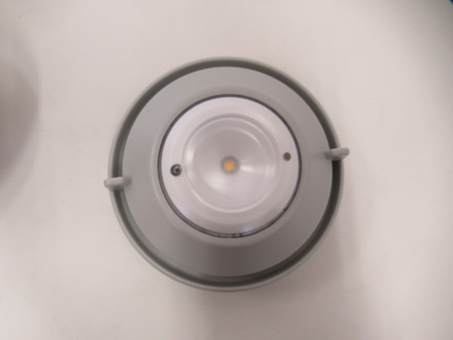 Snow Peak(スノーピーク) ほおずき もり