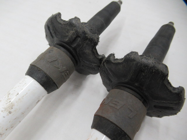 LEKI（レキ）  マイクロバリオカーボン レディー AS