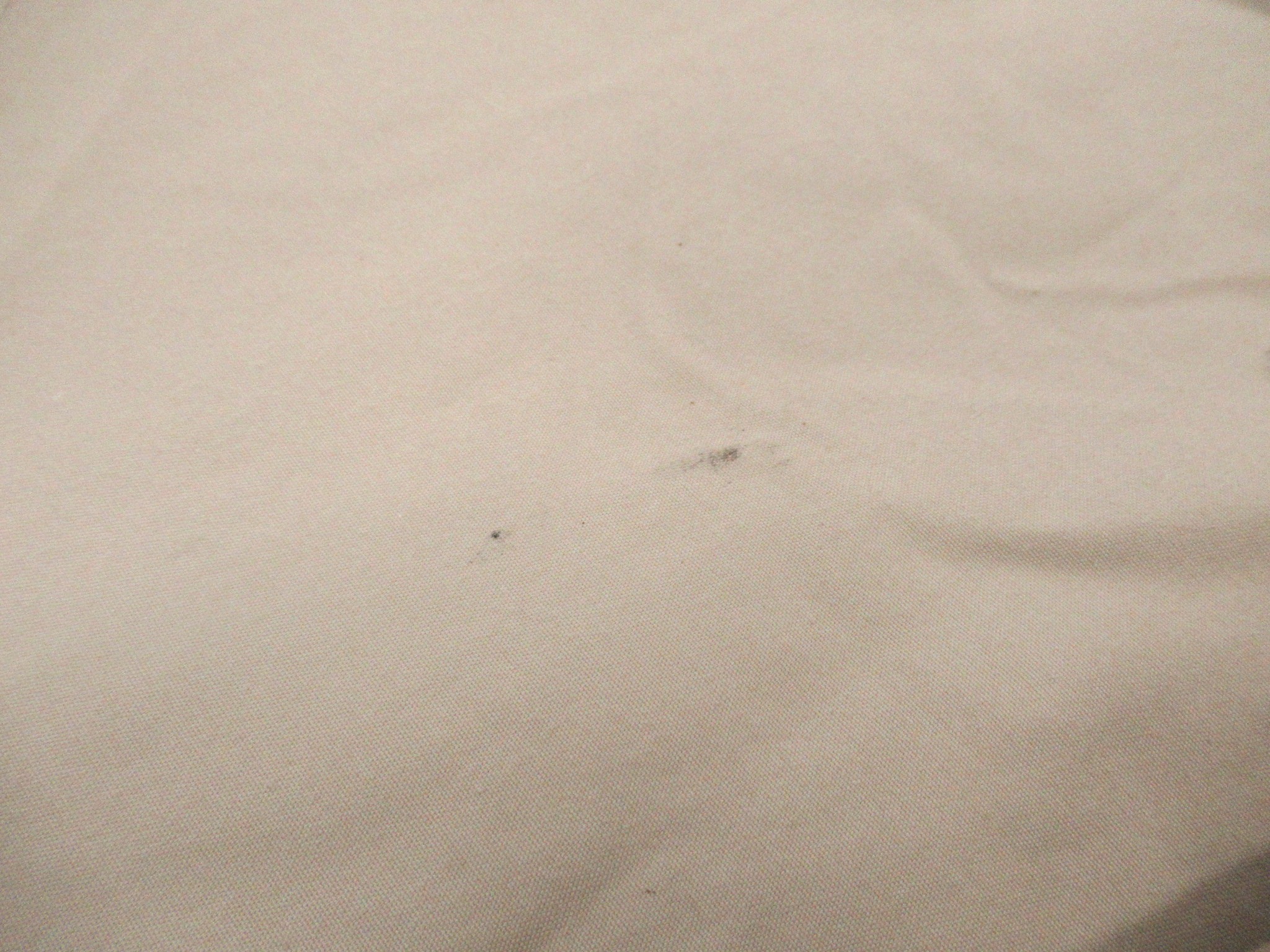 SABBATICAL（サバティカル）  スカイパイロットTC