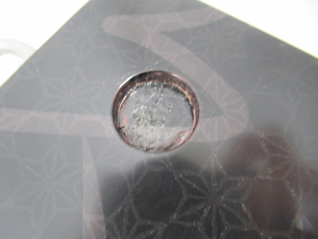 The Arth(ざぁ〜ッス) 床上手 炭カラー ヌルテカ