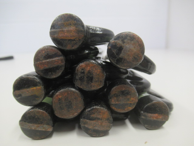 Snow Peak（スノーピーク）  ソリッドステーク30×20本 ケースセット