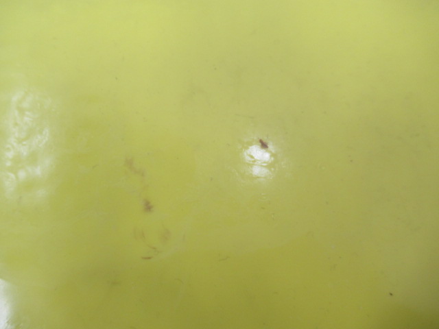 その他ブランド DRINK MAN GAHGA LAVALAVA バーマット