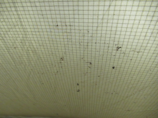 その他ブランド TOMOUNT G MOON TENT