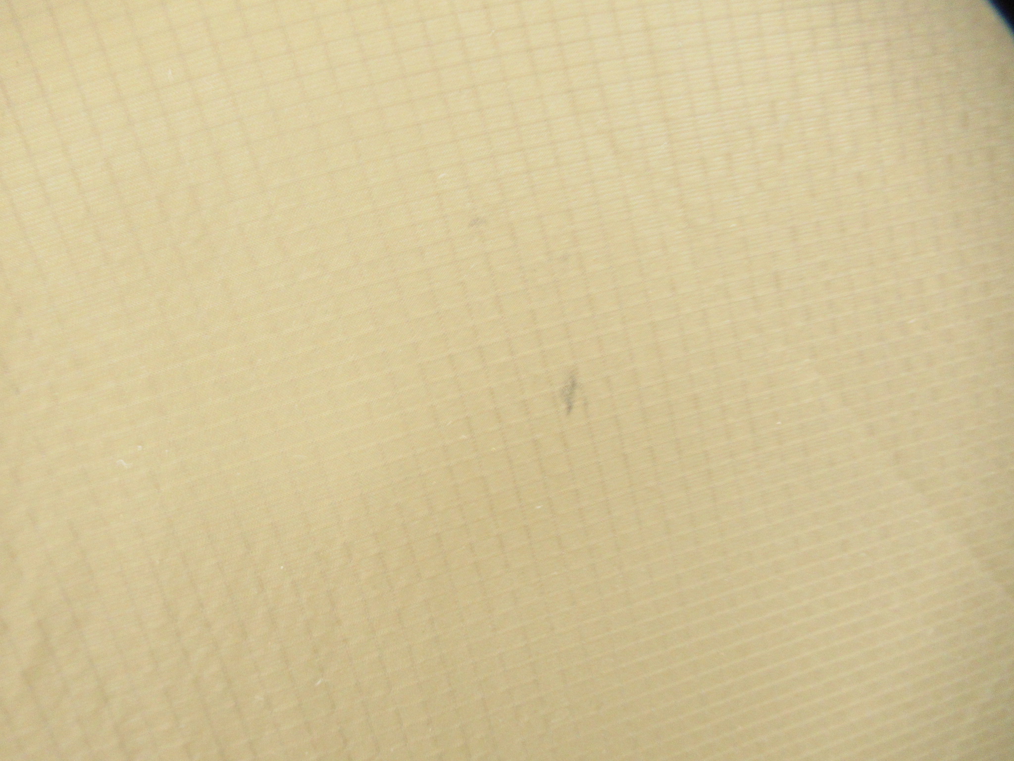 その他ブランド アーサムホリデー ラディアンス 2P EX