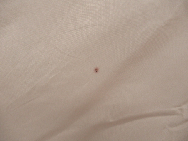 LOGOS（ロゴス）  LOGOS LAND ツーリングタープ