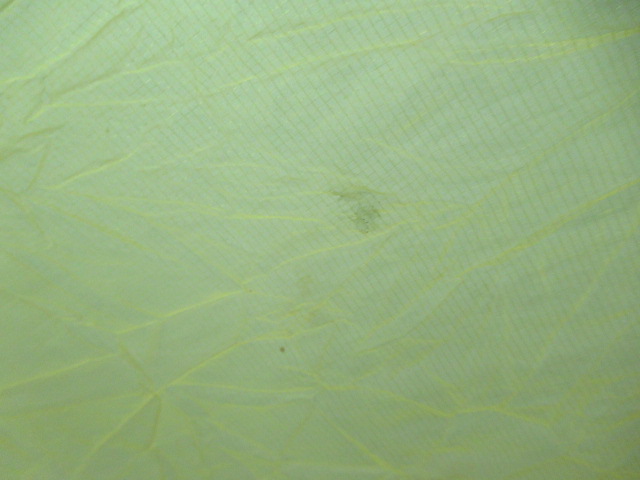 TERRA NOVA（テラノヴァ）  レーサーパルス1