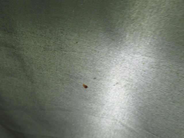 LOGOS(ロゴス) ルーミーリビングドームL・テントセット