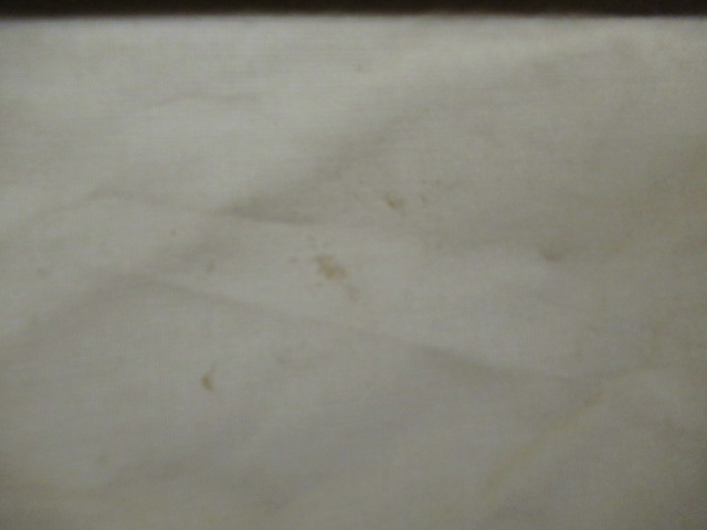 ogawa（小川・キャンパルジャパン）  ツインクレスタS TC