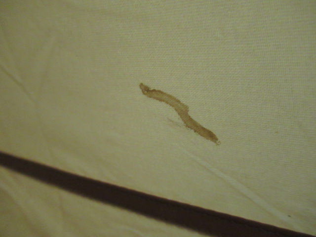 Coleman(コールマン) スタンダードドーム4 300