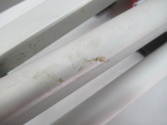 Coleman（コールマン）  レイチェア レッド 2000026744