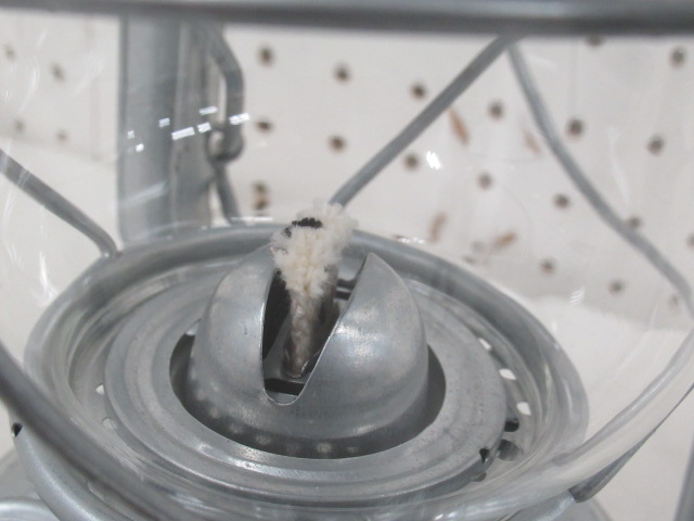 FEUER HAND（フュアハンド）  ベイビースペシャル276 ジンク