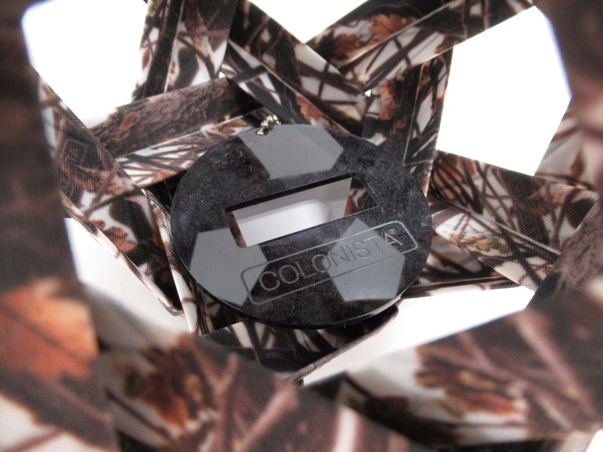 その他ブランド  COLONISTA OMAN10 リアルツリー