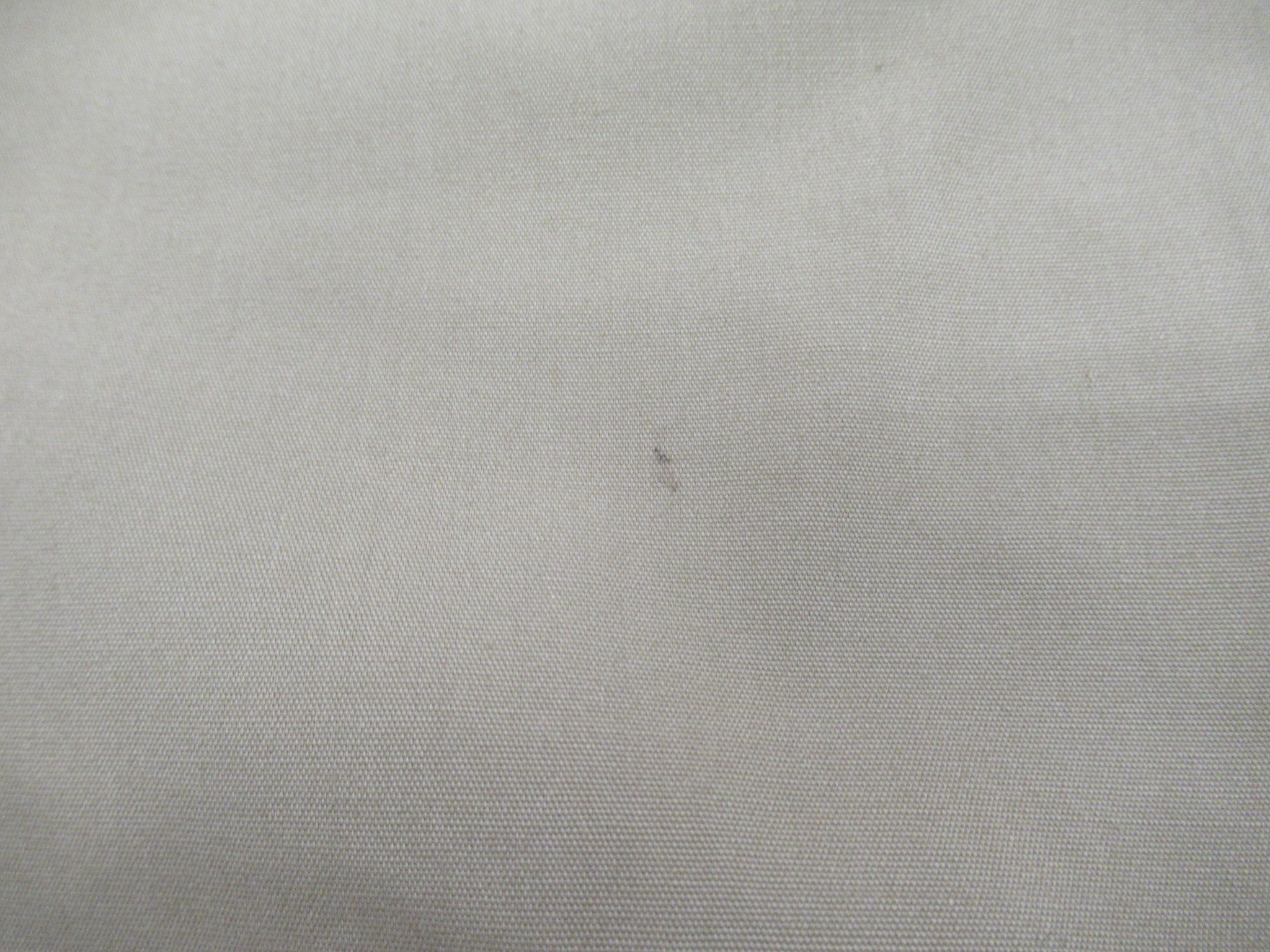 その他ブランド  GOGlamping TCスクエアタープ