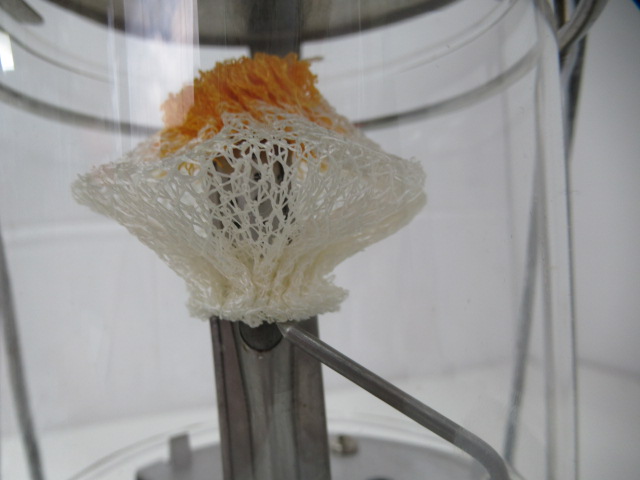 Coleman(コールマン) ガスランタン 5134-700J(2)