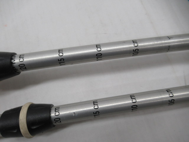 LEKI(レキ) クレシダ AS