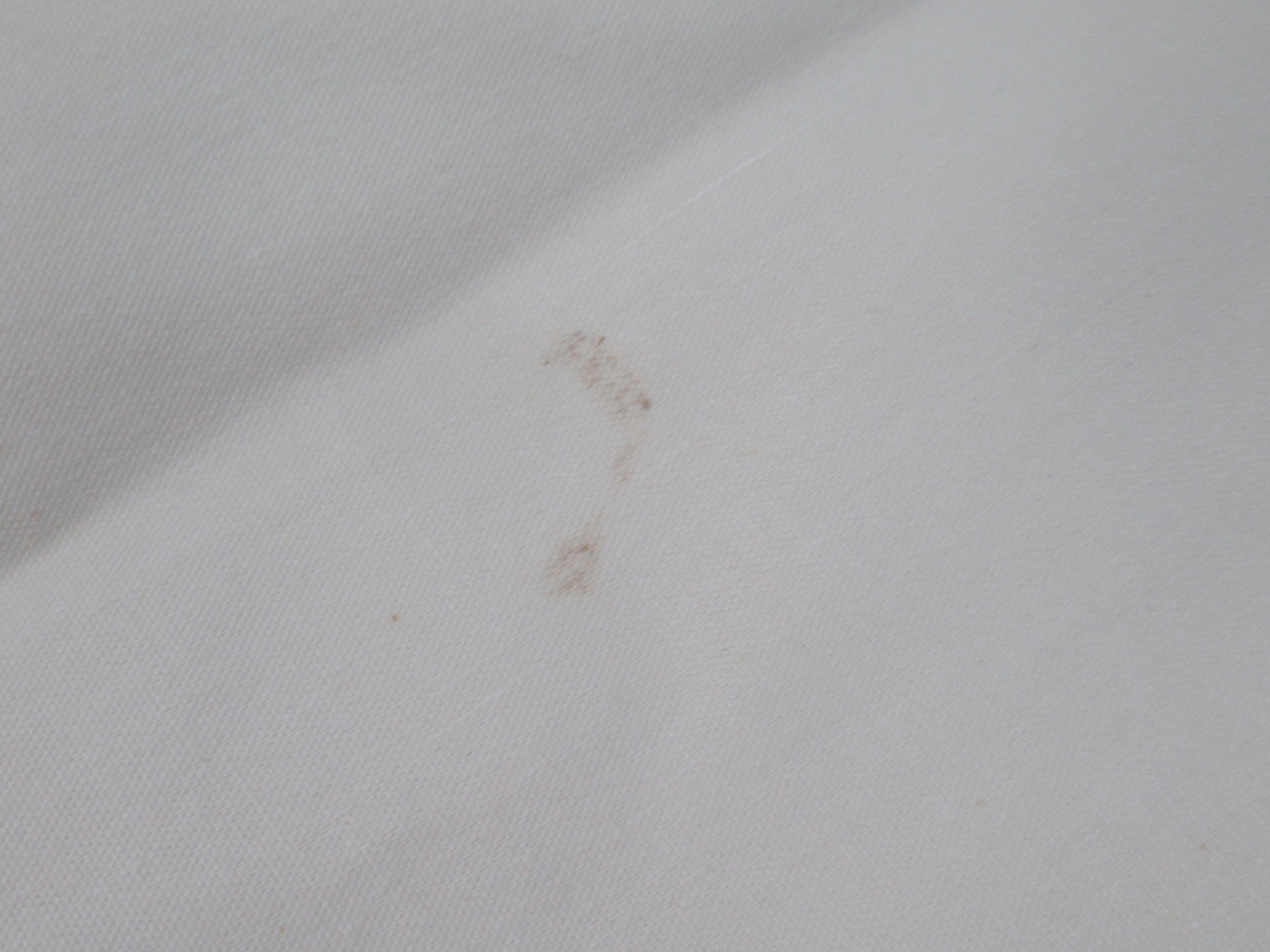 ogawa（小川・キャンパルジャパン）  システムタープ ペンタ4×4 T/C