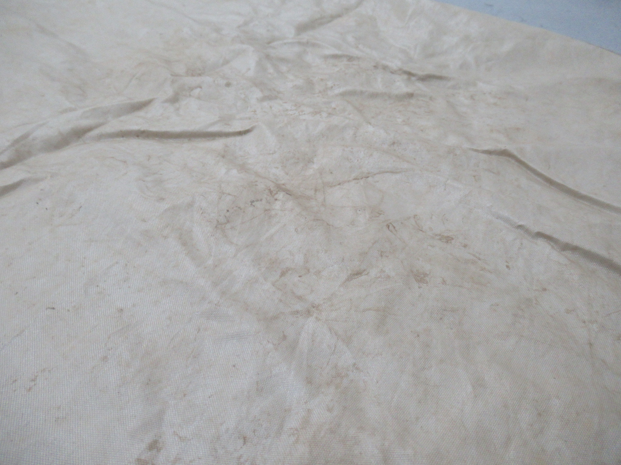 DOD(ディーオーディー) ビートルタープ TT5-655-TN