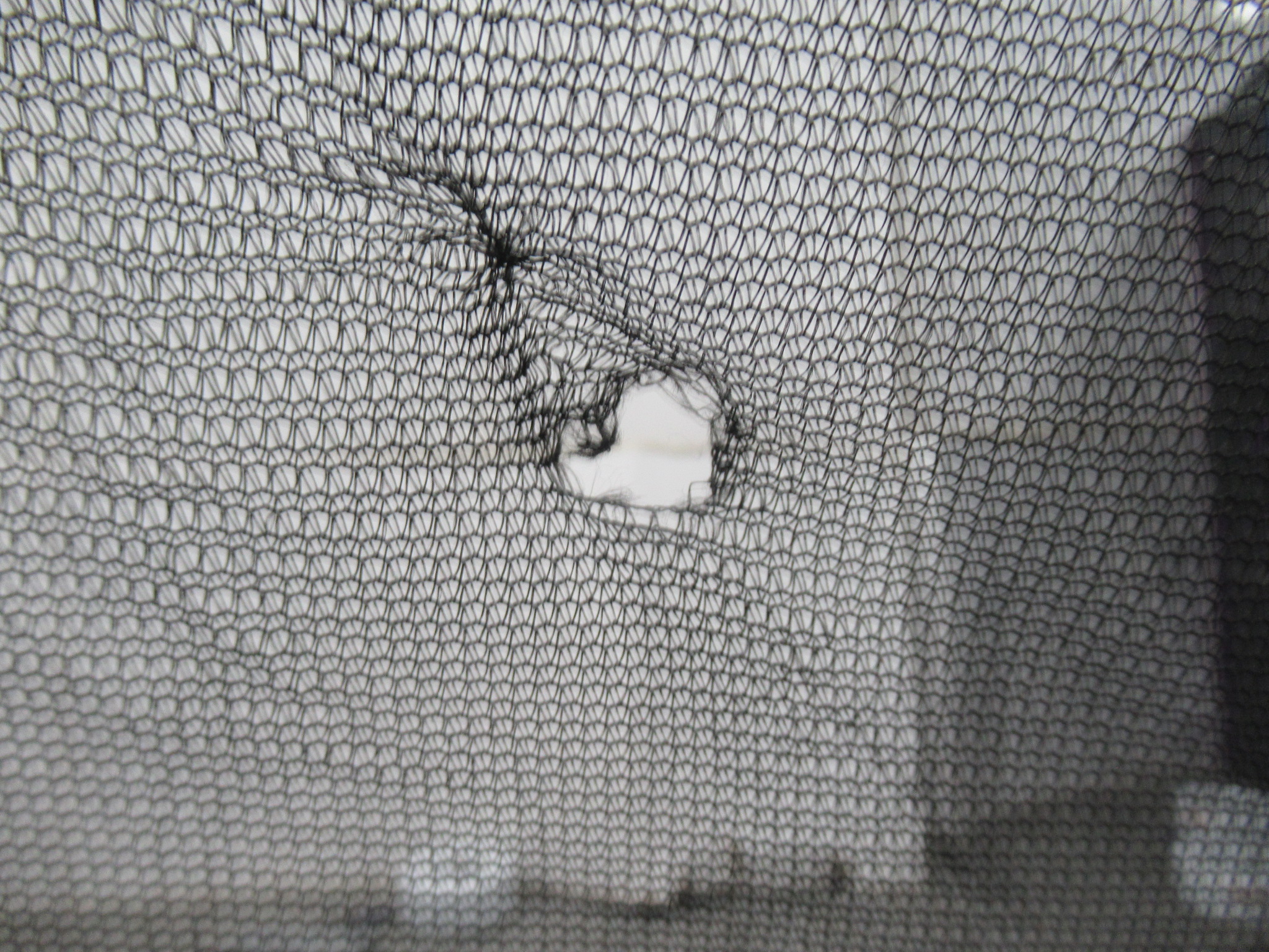 FIELDOOR（フィールドア）  ワンタッチスクリーンテント 遮光PUコーティング