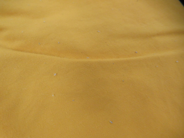 patagonia(パタゴニア) メンズ・バギーズ・ショーツ5インチ