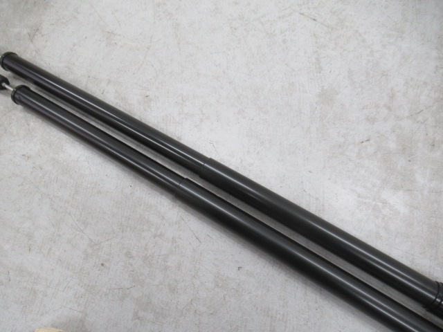 The Arth（ざぁ〜ッス）  棒にょい