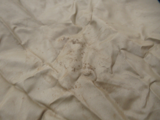 Snow Peak(スノーピーク) ライトタープ ペンタシールド STP-381