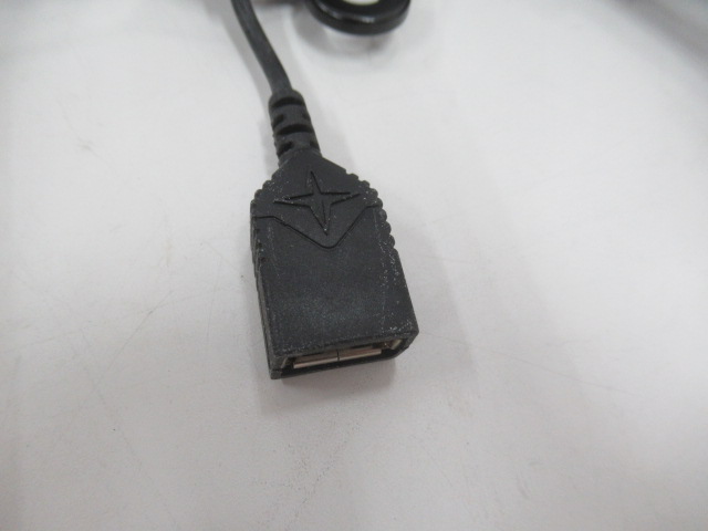 Barebones Living(ベアボーンズリビング) ベアボーンズリビング エジソンスリングライト