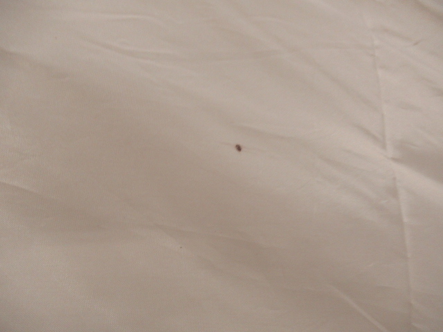 LOGOS（ロゴス）  LOGOS LAND ツーリングタープ