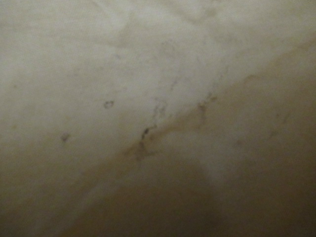 ogawa（小川・キャンパルジャパン）  ツインクレスタS TC