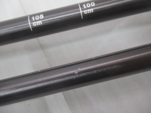 Black Diamond（ブラックダイヤモンド）  トレイル フリックロック+スノーバスケット