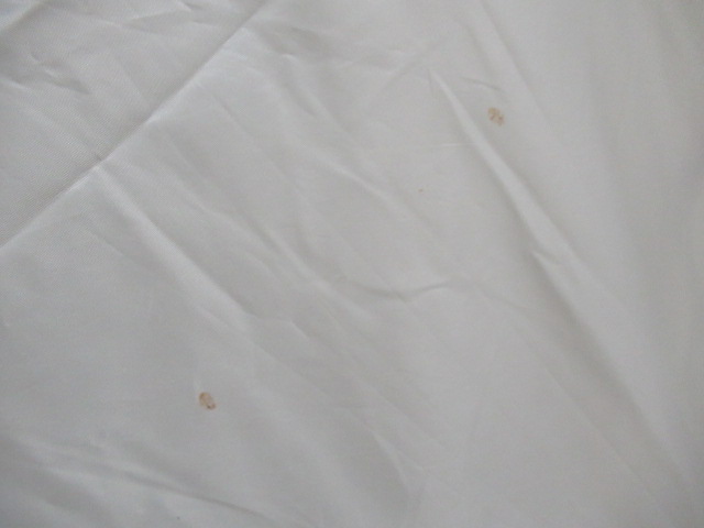 その他ブランド  TICLA ティクラ ティーハウス2