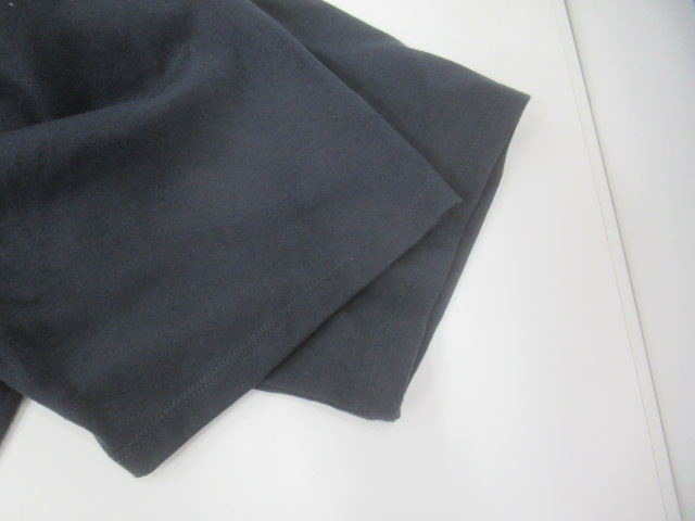 THE NORTH FACE（ノースフェイス）  PURPLE LABEL Pack Field Tee