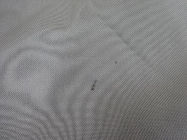 LOGOS(ロゴス) Tradcanvas ポータブルあぐらチェア