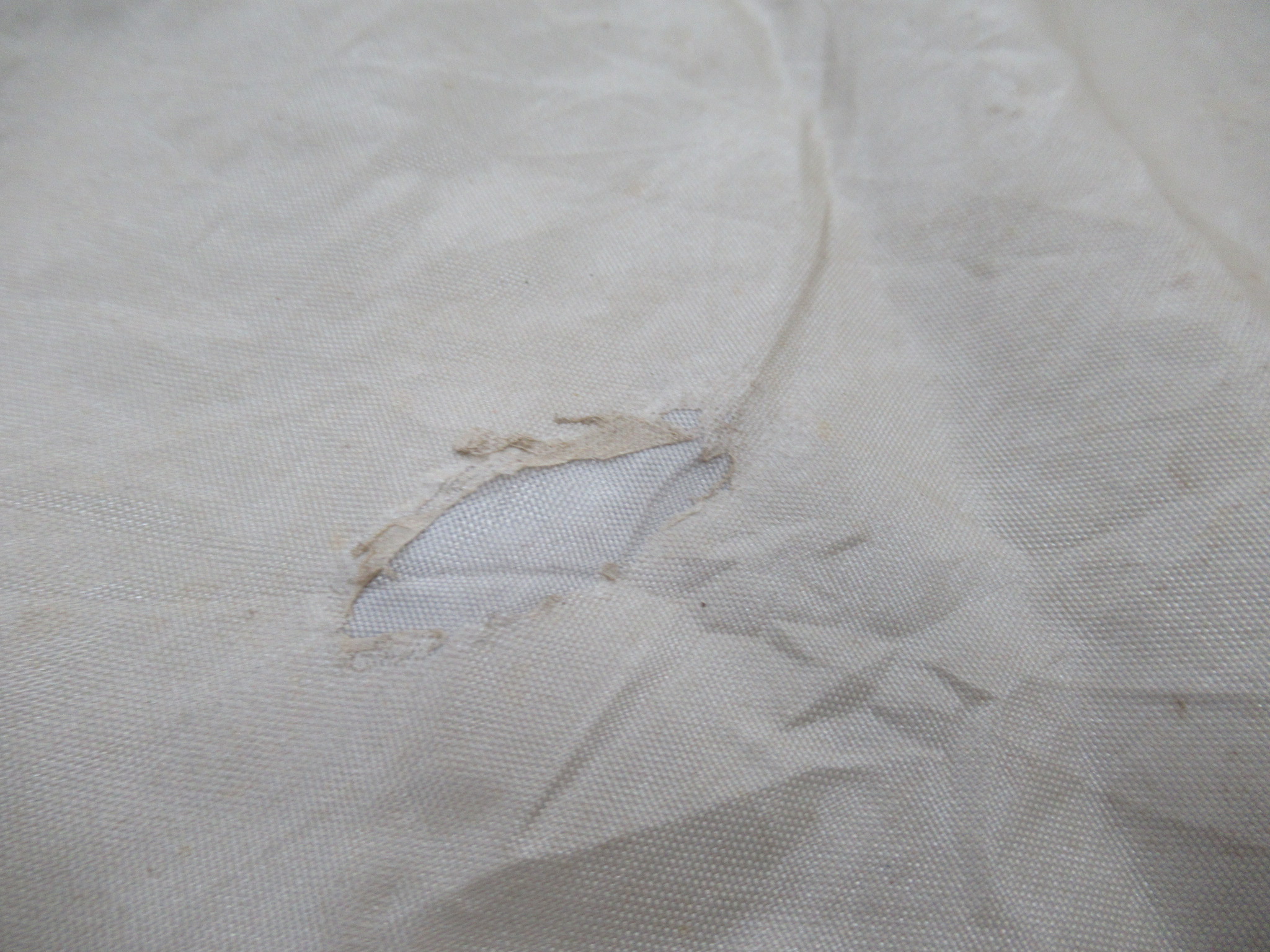 DOD(ディーオーディー) ビートルタープ TT5-655-TN