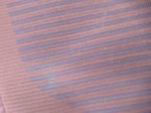 GREGORY（グレゴリー）  バルトロ75