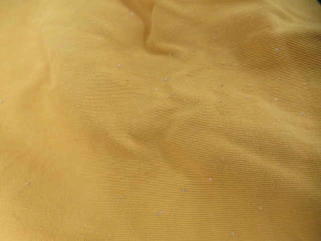 patagonia(パタゴニア) メンズ・バギーズ・ショーツ5インチ