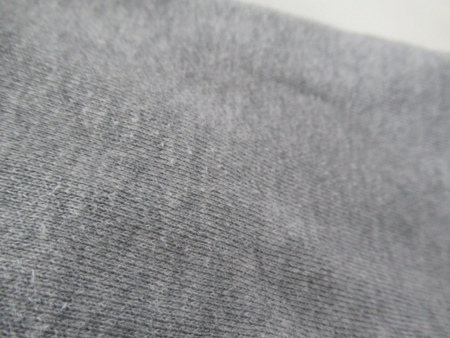 THE NORTH FACE（ノースフェイス）  リアビュー フルジップ フーディ メンズ