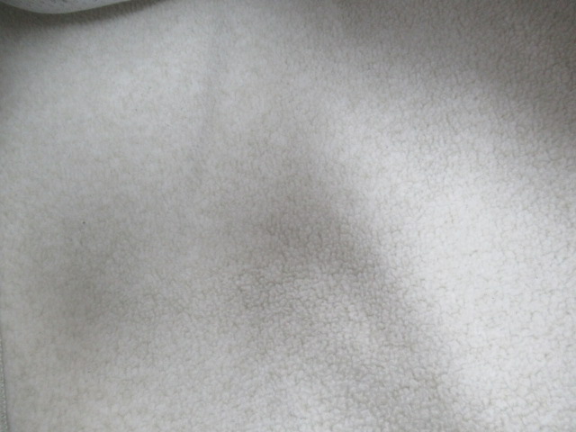 ARC'TERYX(アークテリクス) Covert Pullover Hoody レディース