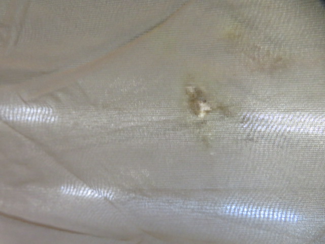 Coleman(コールマン) スタンダードドームEX